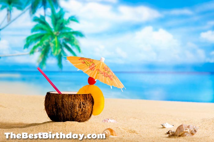 Luau Party / Beach Party Ideas  The Best Birthday