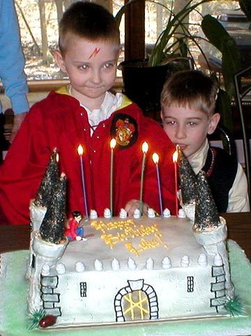 Harry Potter Birthday Cake on Harry Potter Party   The Best Birthday