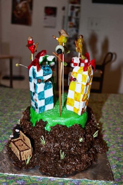 Side view of Harry Potter Quidditch cake